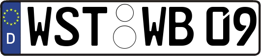 WST-WB09