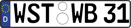 WST-WB31
