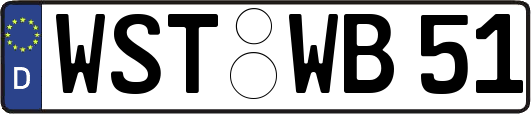 WST-WB51