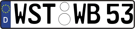 WST-WB53