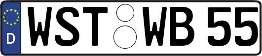 WST-WB55