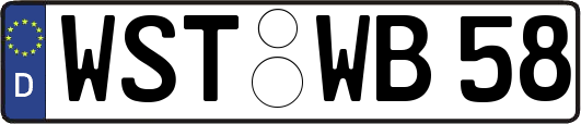 WST-WB58