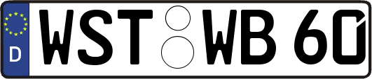 WST-WB60