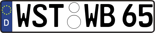 WST-WB65