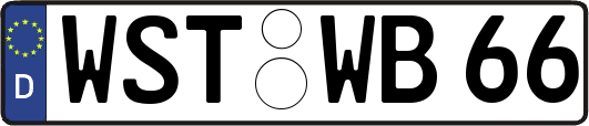 WST-WB66
