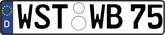 WST-WB75