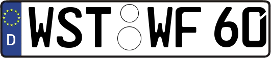 WST-WF60