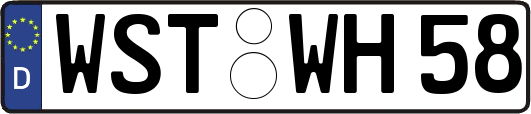 WST-WH58