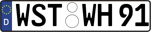WST-WH91