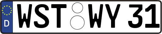 WST-WY31