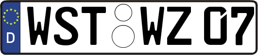 WST-WZ07