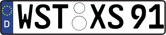 WST-XS91