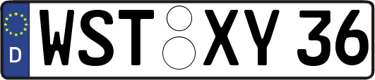 WST-XY36