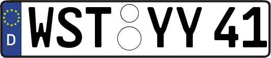 WST-YY41