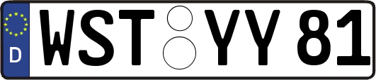 WST-YY81