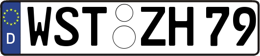 WST-ZH79