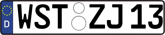 WST-ZJ13