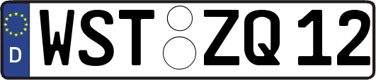 WST-ZQ12