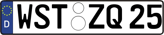 WST-ZQ25