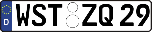 WST-ZQ29