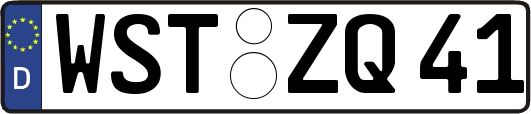 WST-ZQ41
