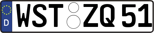 WST-ZQ51