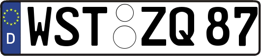 WST-ZQ87
