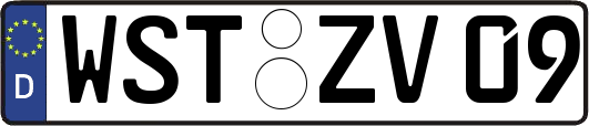 WST-ZV09