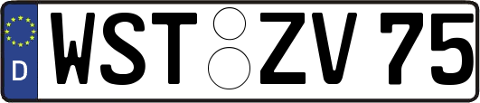WST-ZV75