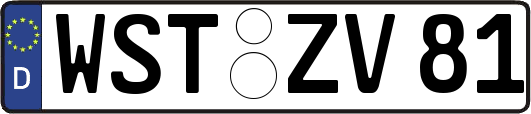 WST-ZV81