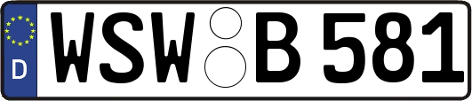 WSW-B581