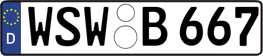 WSW-B667