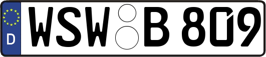 WSW-B809