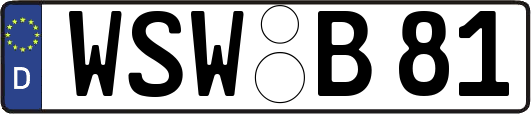 WSW-B81