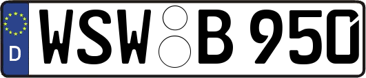 WSW-B950