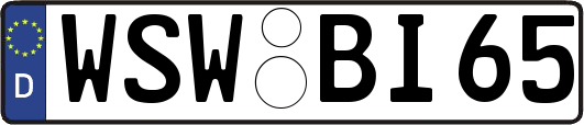 WSW-BI65