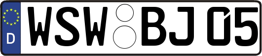 WSW-BJ05