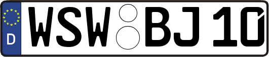 WSW-BJ10