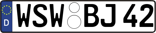 WSW-BJ42