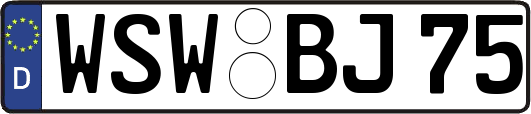 WSW-BJ75