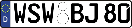 WSW-BJ80
