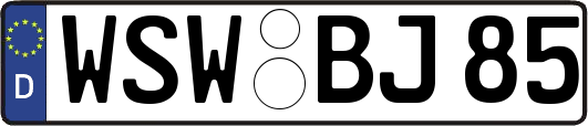 WSW-BJ85