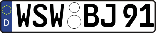 WSW-BJ91
