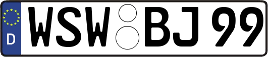 WSW-BJ99