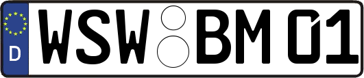 WSW-BM01