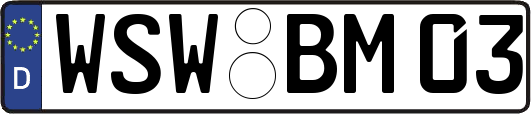 WSW-BM03