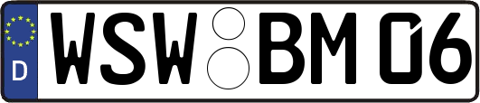 WSW-BM06