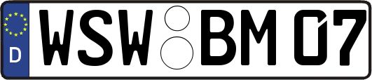 WSW-BM07
