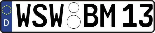 WSW-BM13
