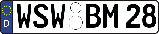 WSW-BM28